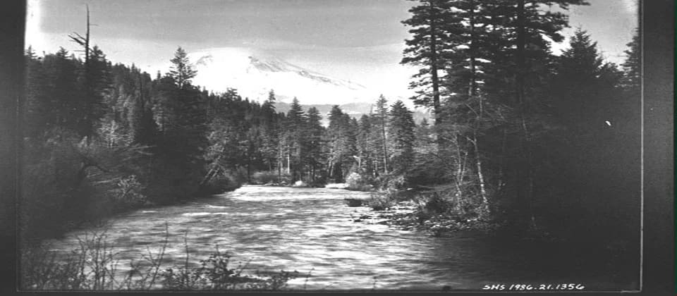 Black and white photograph of a river flowing through a forested landscape with snow-capped mountain in distance.
