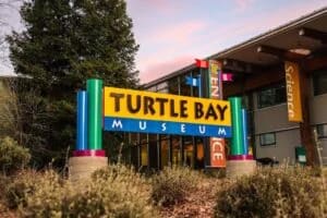 Colorful neon sign reading "TURTLE BAY MUSEUM" on a building exterior at dusk.